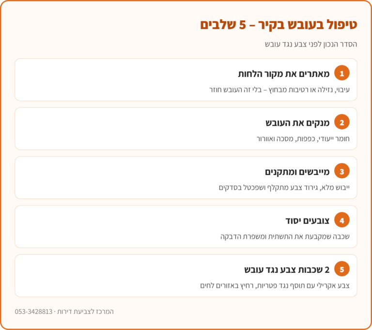 אינפוגרפיקה: 5 שלבי טיפול בעובש בקיר לפני צביעה – איתור מקור הלחות, ניקוי, ייבוש, יסוד וצבע נגד עובש